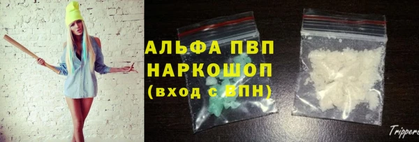 стаф Арсеньев