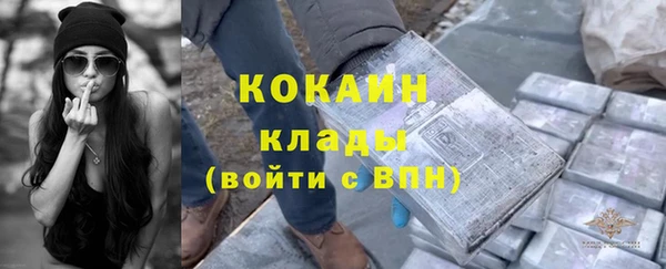 стаф Арсеньев