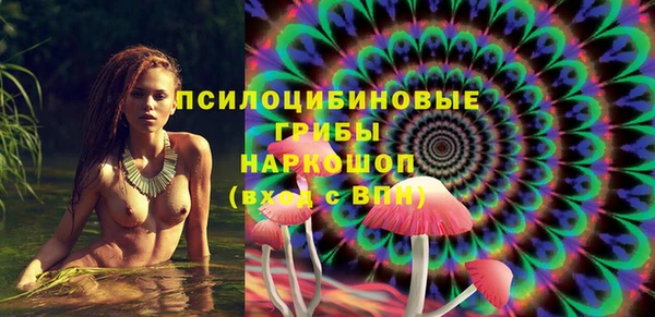 стаф Арсеньев