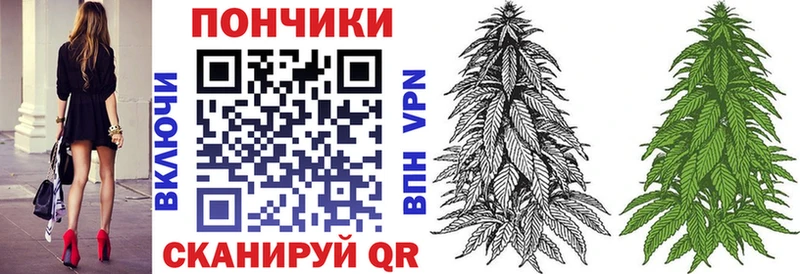 купить наркоту  Трубчевск  МЕГА ONION  Бошки марихуана Amnesia 